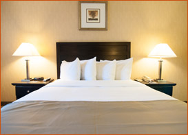 room image 2