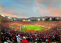 football stadium